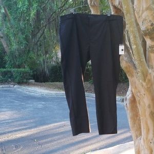 Eloquii Black Pants New